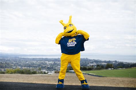 uc santa cruz banana slugs|sammy the slug photo.